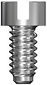 Bridge Screw