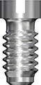 Bridge Screw