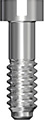 Bridge Screw