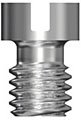 Bridge Screw