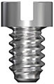 Bridge Screw