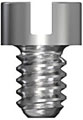 Bridge Screw