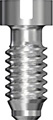 Bridge Screw