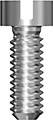 Bridge Screw