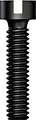 Process Screw